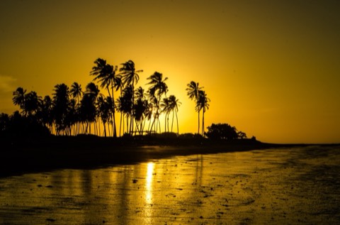 Praia de Barra Grande, PI